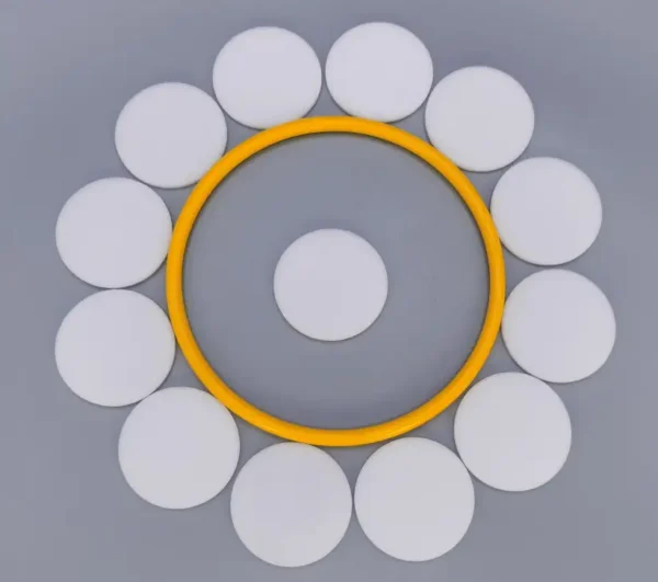 Medical Industry Sintered 60um Polyethylene Porous Filter Disc Medical Industry Sintered 60um Polyethylene Porous Filter Disc