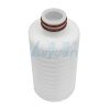 Cartucho de filtro plissado compacto de 5 polegadas (1) Cartucho de filtro plissado compacto de 5 polegadas (1)